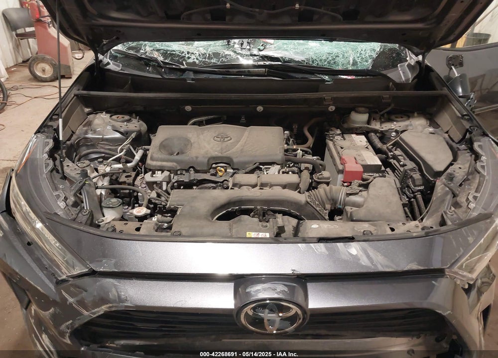 2019 TOYOTA RAV4 VIN: JTMG1RFV5KD502307