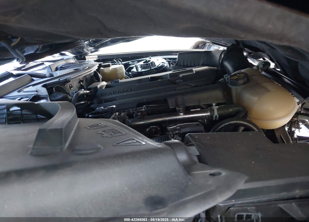 2019 FORD MUSTANG ECOBOOST VIN: 1FA6P8TH4K5169214