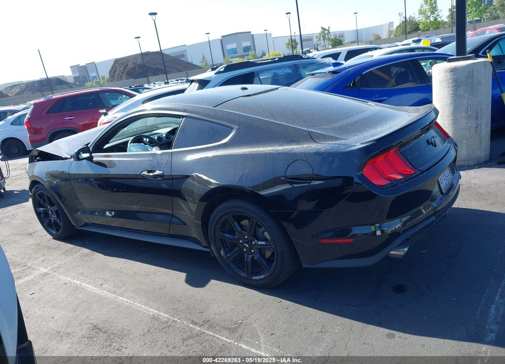 2019 FORD MUSTANG ECOBOOST VIN: 1FA6P8TH4K5169214