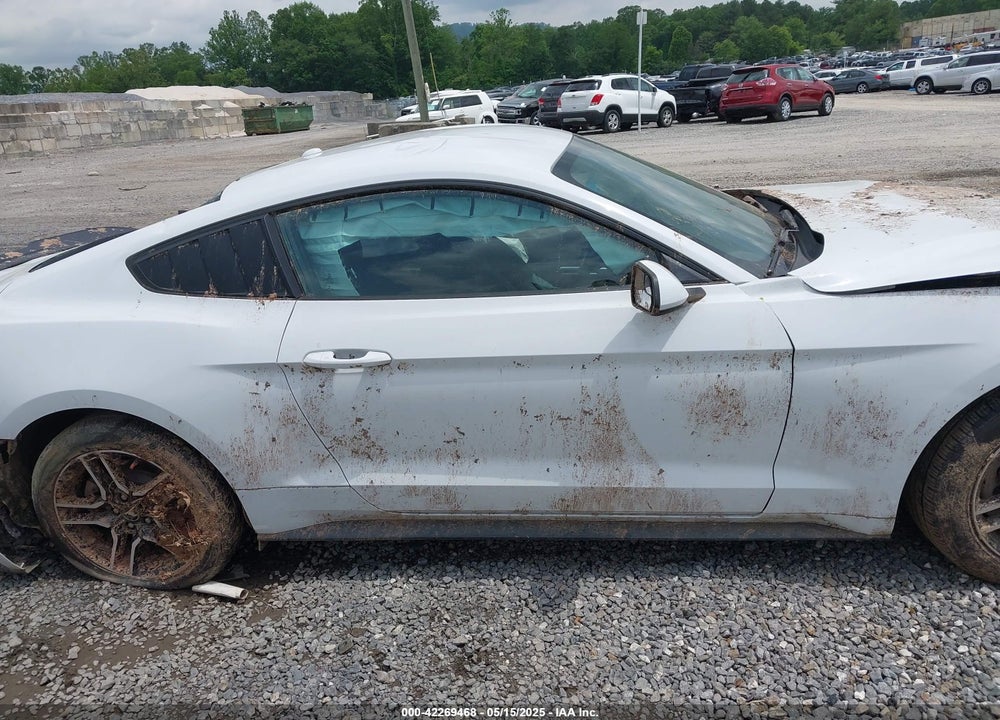 2019 FORD MUSTANG ECOBOOST VIN: 1FA6P8TH8K5114605