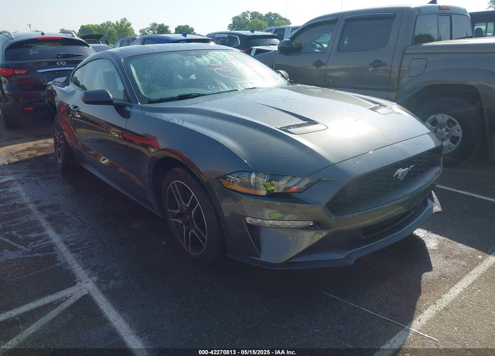 2019 FORD MUSTANG VIN: 1F86B8TH3K5173920