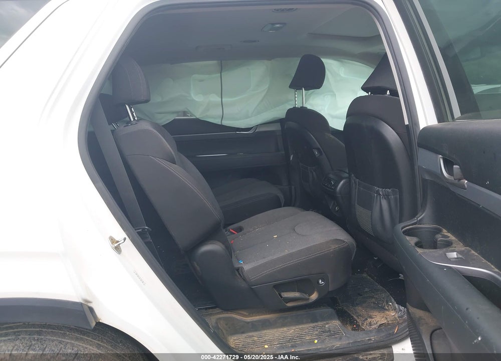 2020 HYUNDAI PALISADE VIN: KM8R24HE1LU151687