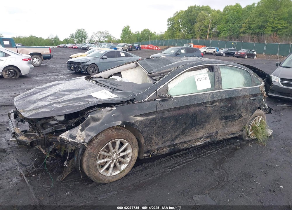 2019 HYUNDAI SONATA VIN: 5NPE24AF3KH780396
