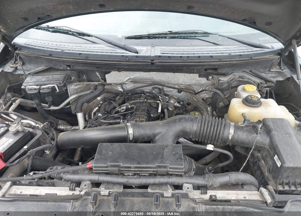 2013 FORD F-150 XLT VIN: 1FTFX1ET7DFD32387