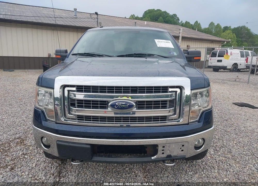 2013 FORD F-150 XLT VIN: 1FTFX1ET7DFD32387