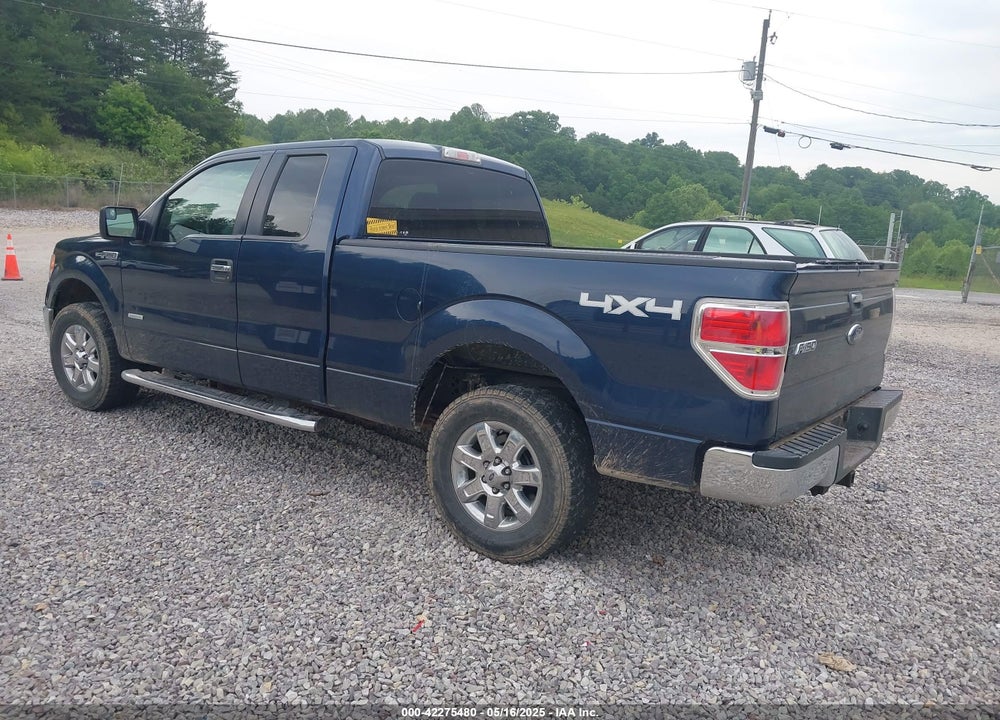 2013 FORD F-150 XLT VIN: 1FTFX1ET7DFD32387