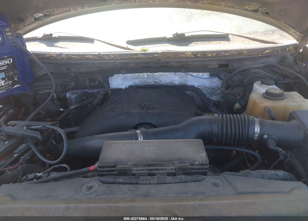 2011 FORD F-150 VIN: 1FTFX1ET6BFC52852