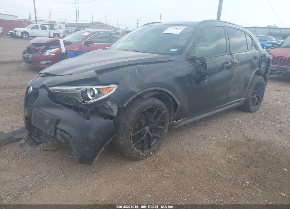 2019 ALFA ROMEO STELVIO VIN: ZASPAKBN9K7C51133