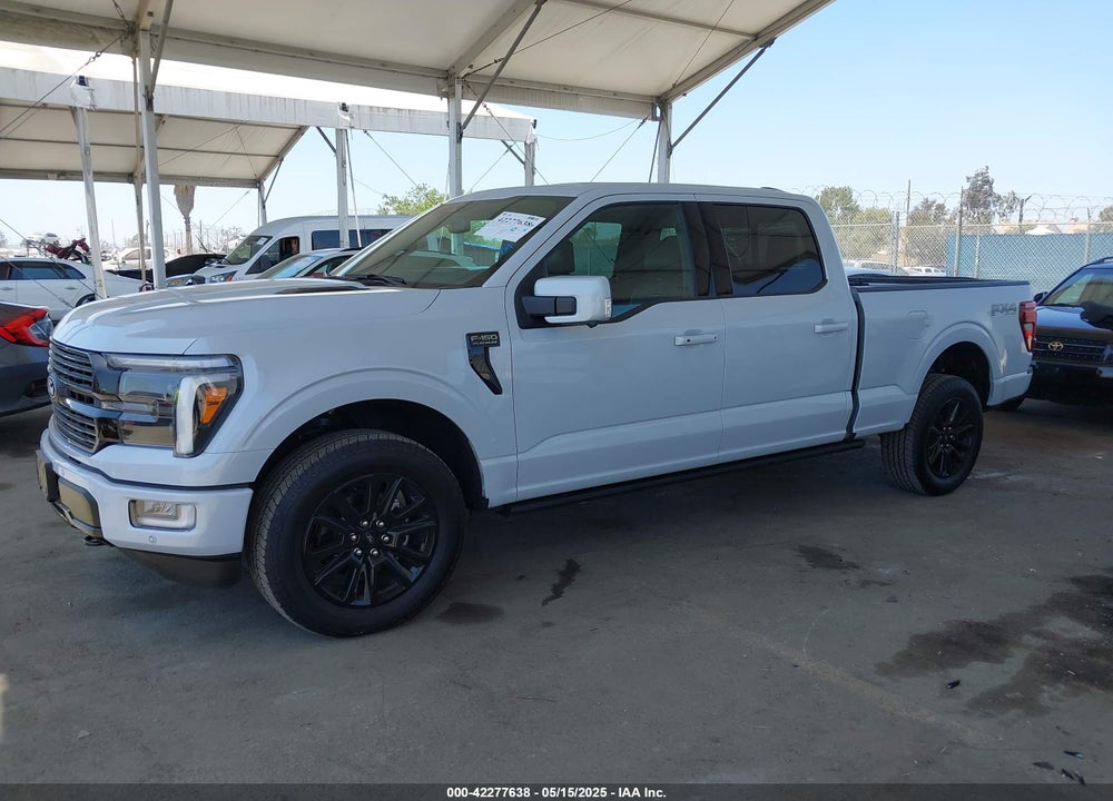 2025 FORD F-150 PLATINUM VIN: 1FTFW7L88SFA00119