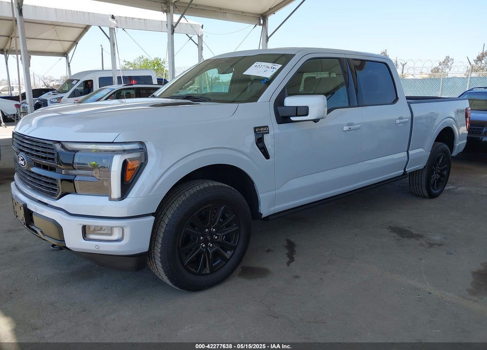2025 FORD F-150 PLATINUM VIN: 1FTFW7L88SFA00119