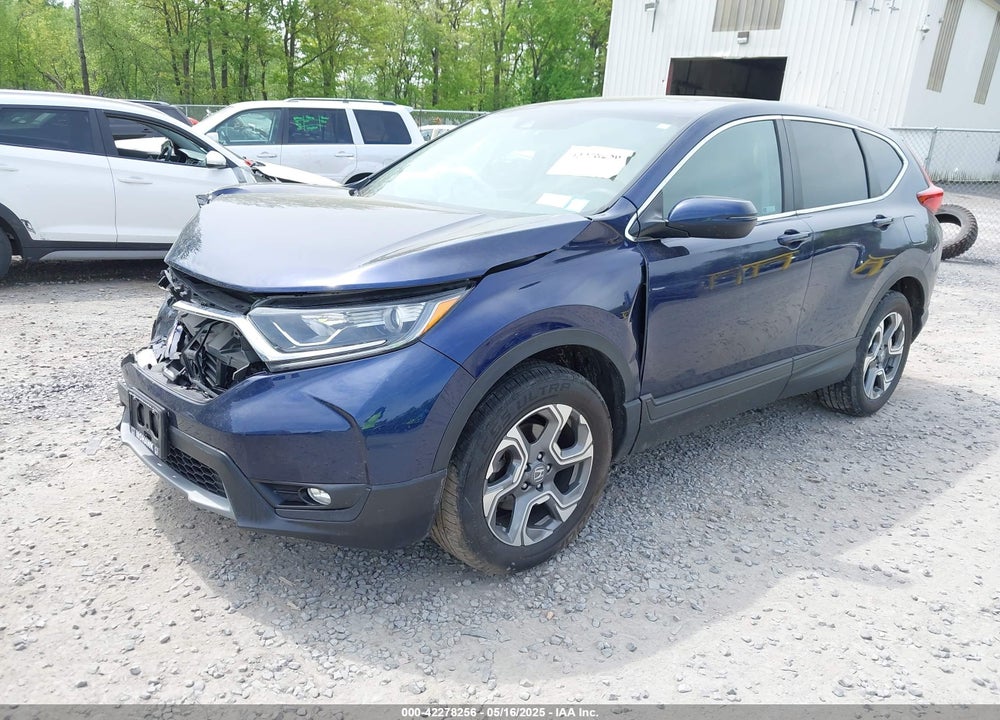 2019 HONDA CR-V VIN: 2HKRW2H54KH657262