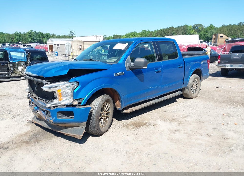 2019 FORD F-150 VIN: 1FTEW1CP3KFA91445