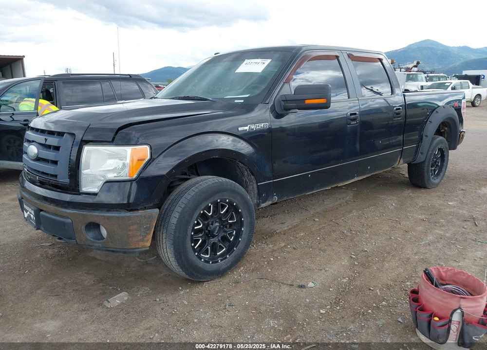 2009 FORD F-150 VIN: 1FTPW14V29FA87855