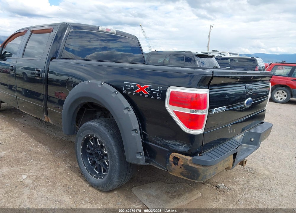2009 FORD F-150 VIN: 1FTPW14V29FA87855