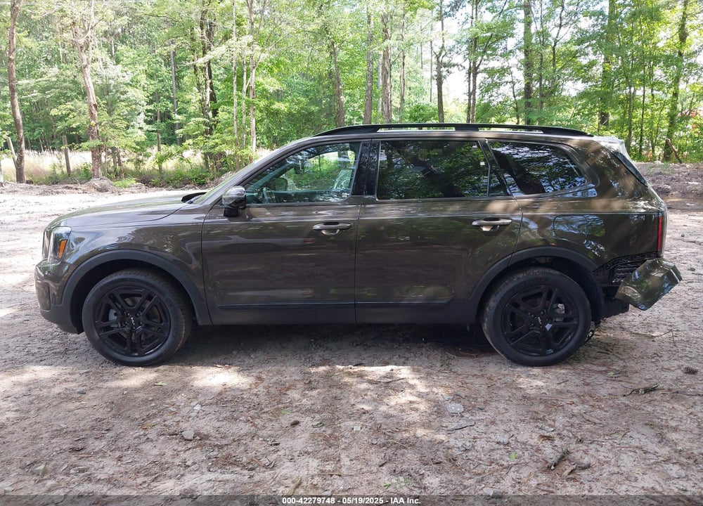 2024 KIA TELLURIDE SX X-LINE VIN: 5XYP5DGC8RG530005