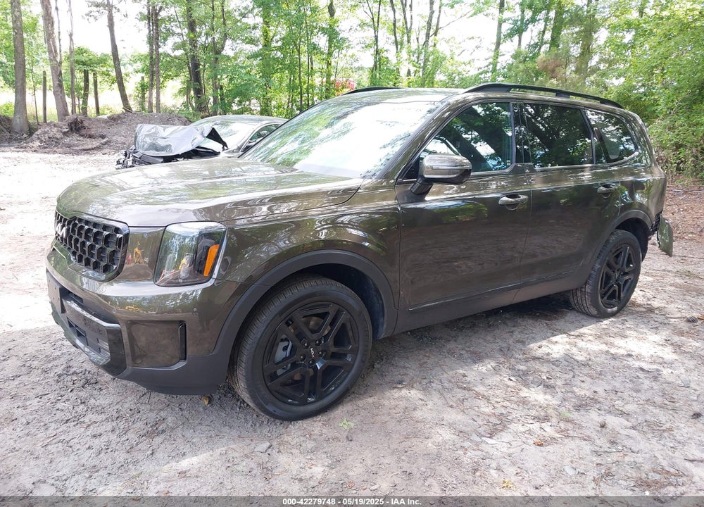 2024 KIA TELLURIDE SX X-LINE VIN: 5XYP5DGC8RG530005