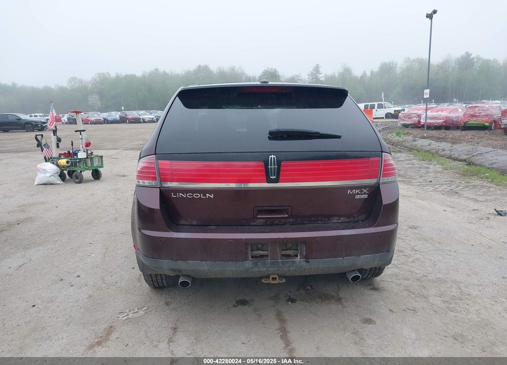 2009 LINCOLN MKX VIN: 2LMDU88C59BJ01646