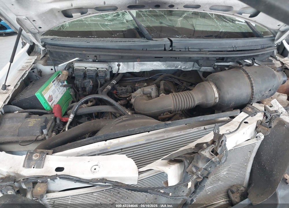 2006 FORD F-150 STX/XL/XLT VIN: 1FTRF12246NA15400