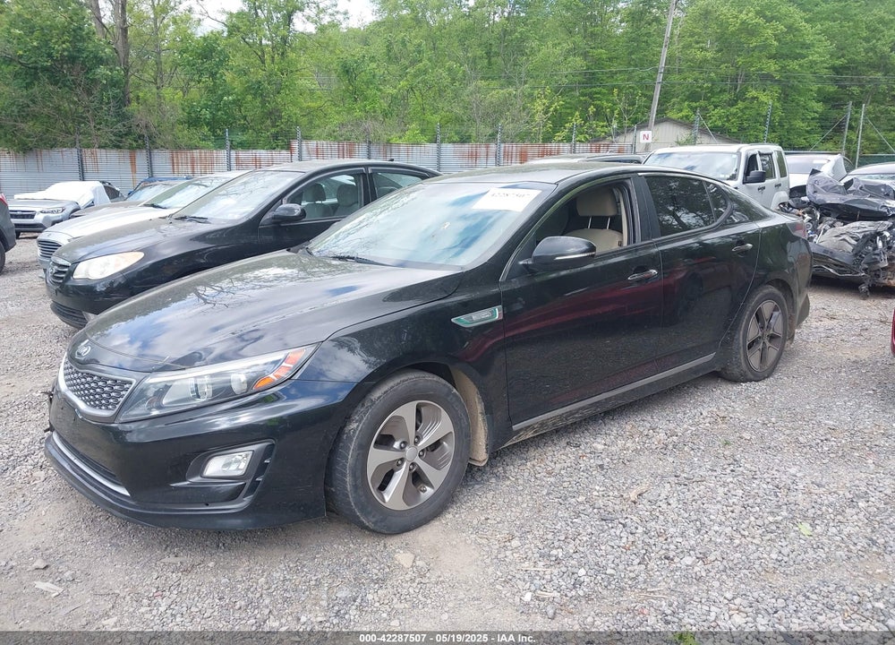 2015 KIA OPTIMA VIN: KNAGM4AD3F5081970