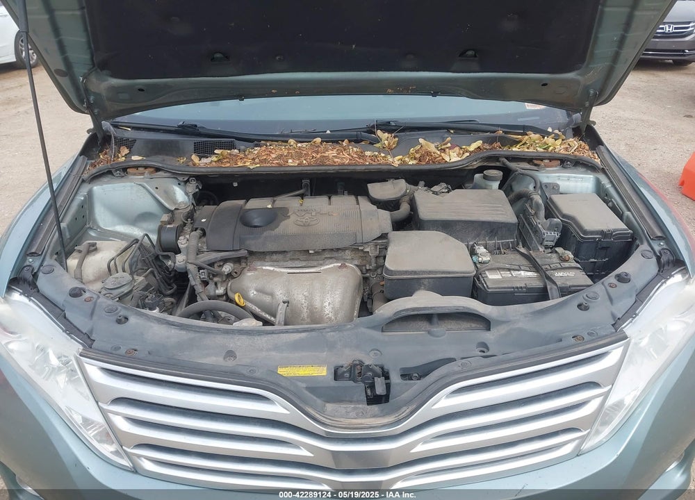 2010 TOYOTA VENZA VIN: 4T3ZA3BB3AU034466
