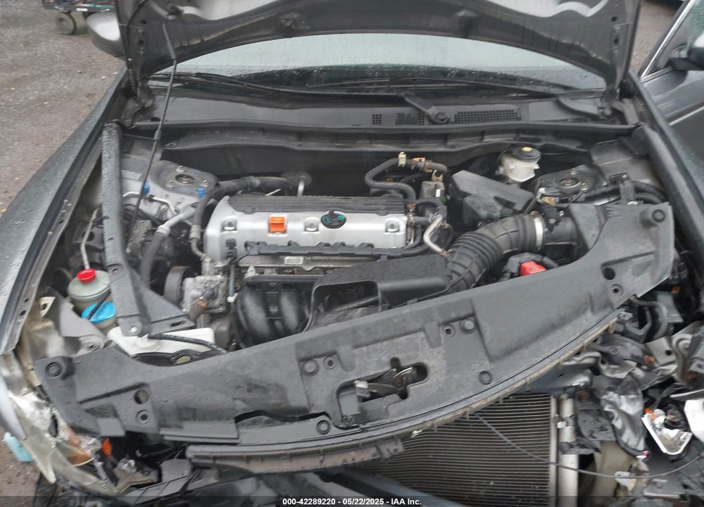 2010 HONDA ACCORD VIN: 1HGCP2F36AA083338