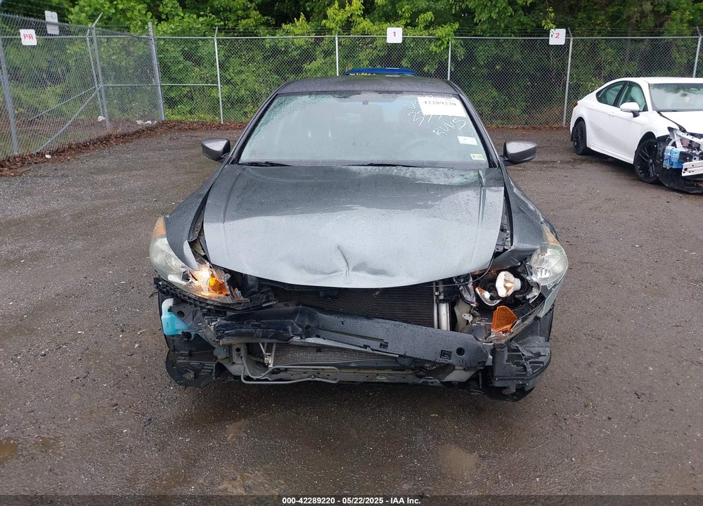 2010 HONDA ACCORD VIN: 1HGCP2F36AA083338