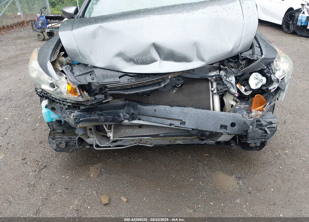 2010 HONDA ACCORD VIN: 1HGCP2F36AA083338
