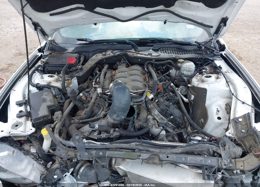 2019 FORD MUSTANG GT VIN: 1FA6P8CFXK5130996