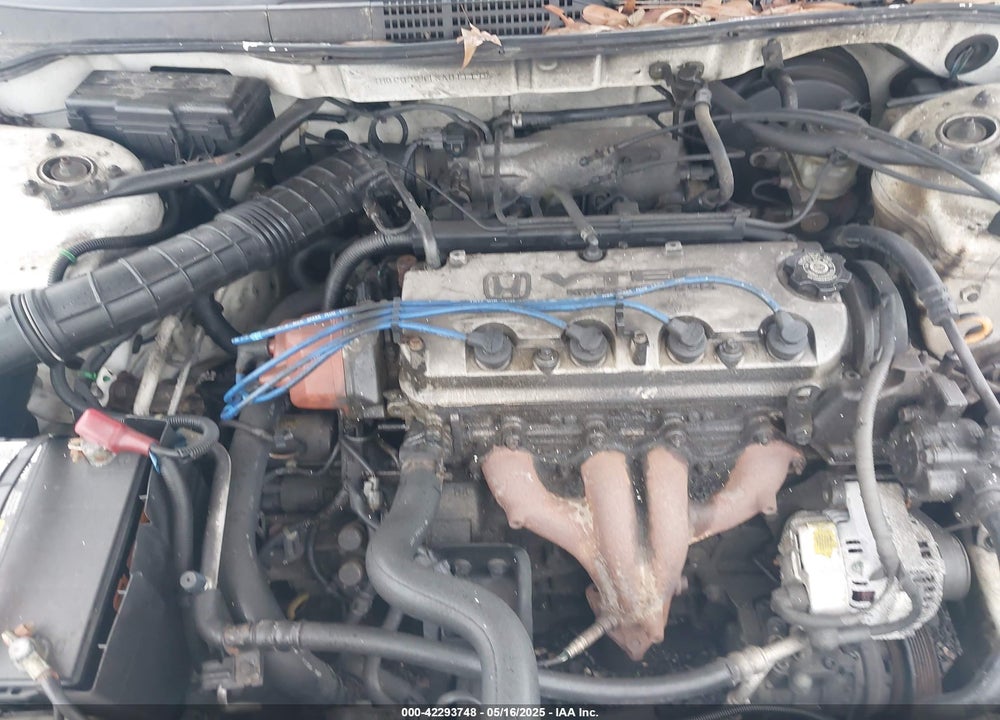 1999 HONDA ACCORD LX VIN: 1HGCG3241XA011198
