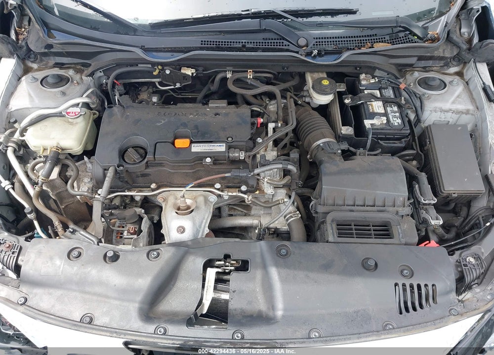2019 HONDA CIVIC VIN: 2HGFC2F83KH565997