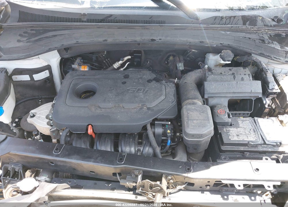 2019 HYUNDAI SANTA FE VIN: 5NMS33AD3KH009376
