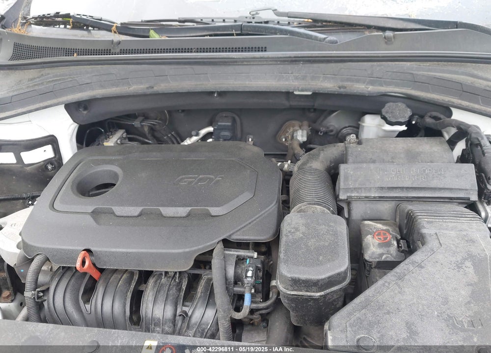 2019 HYUNDAI SANTA FE VIN: 5NMS2CAD9KH117777