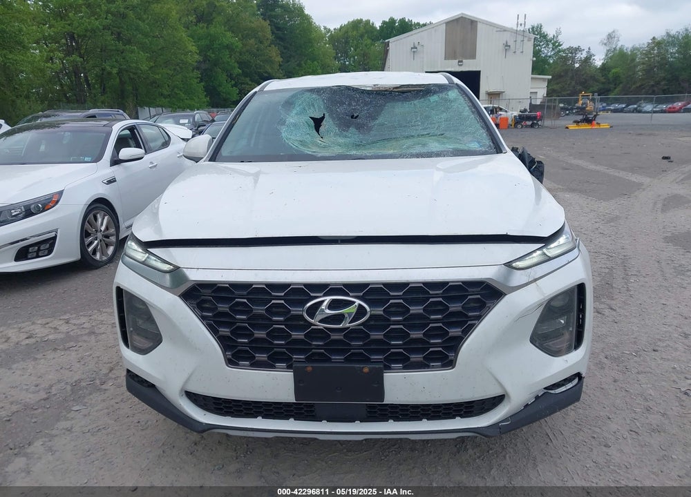 2019 HYUNDAI SANTA FE VIN: 5NMS2CAD9KH117777
