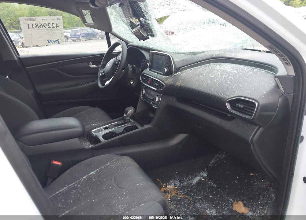 2019 HYUNDAI SANTA FE VIN: 5NMS2CAD9KH117777