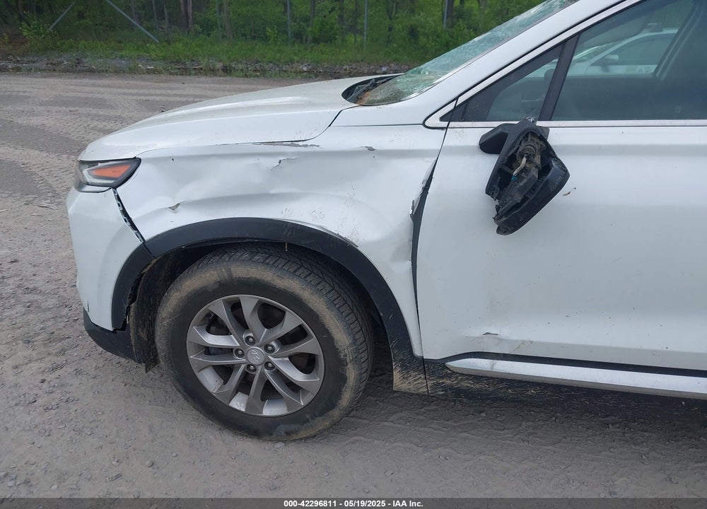 2019 HYUNDAI SANTA FE VIN: 5NMS2CAD9KH117777