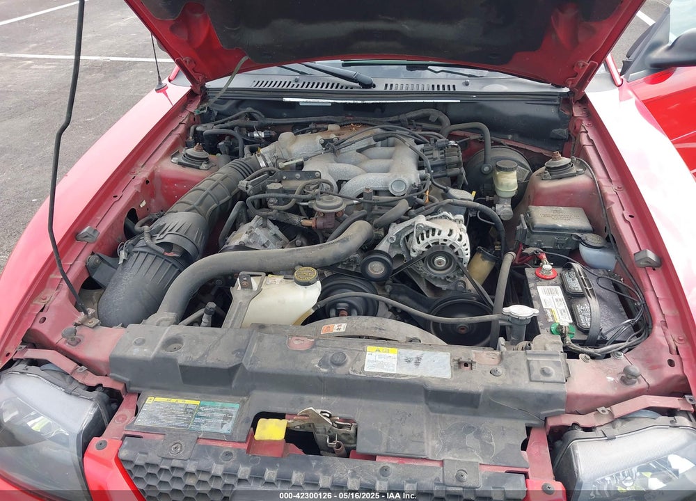 2004 FORD MUSTANG VIN: 1FAFP44654F229021