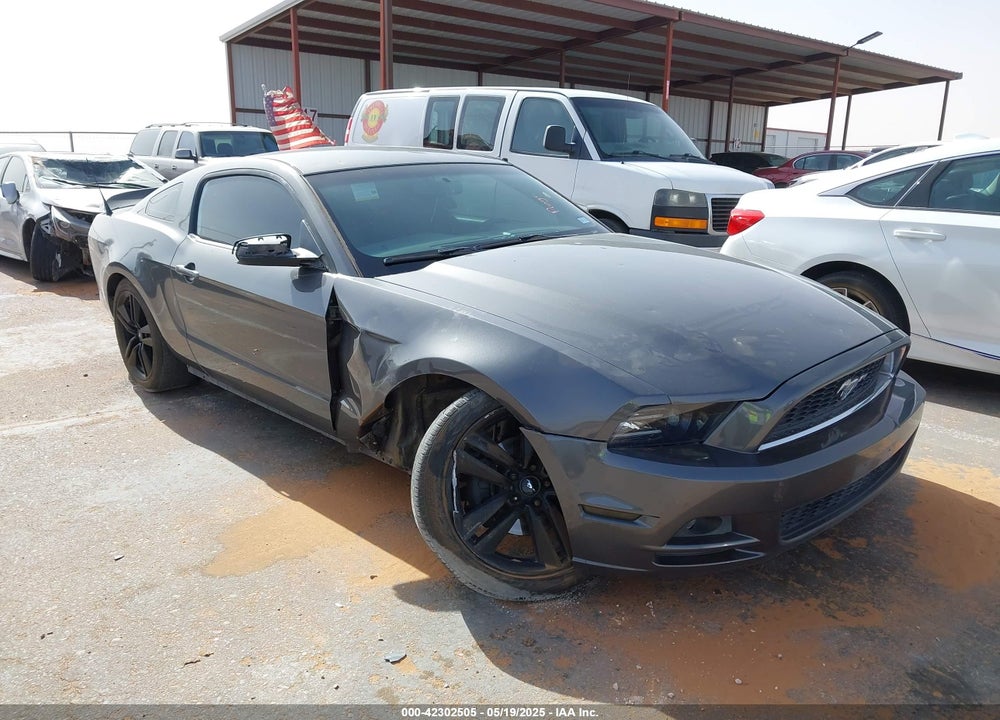 2013 FORD MUSTANG V6 VIN: 1ZVBP8AM7D5268215