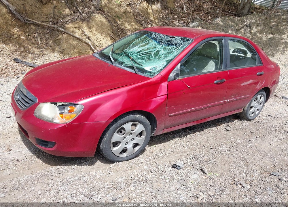2009 KIA SPECTRA VIN: KNAFE221995651296