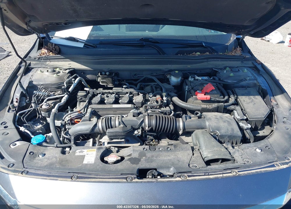 2019 HONDA ACCORD VIN: 1HGCV1F15KA026225