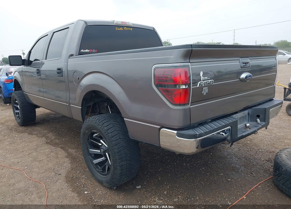 2010 FORD F-150 FX2 SPORT/XL/XLT VIN: 1FTEW1C89AKE42437