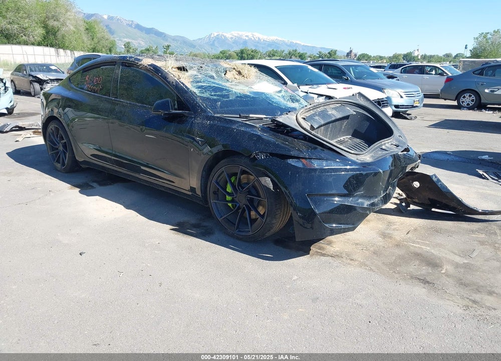 2024 TESLA MODEL 3 PERFORMANCE ALL-WHEEL DRIVE VIN: 5YJ3E1ET3RF789461