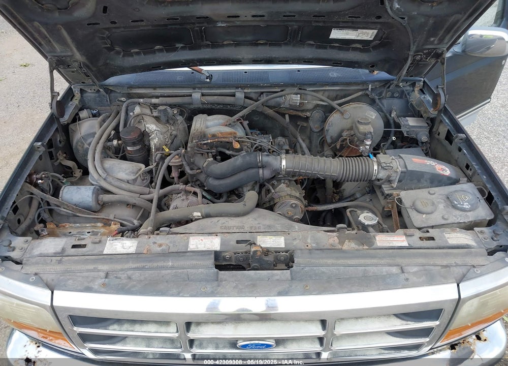 1996 FORD F150 VIN: 1FTEF15N4TLC00784