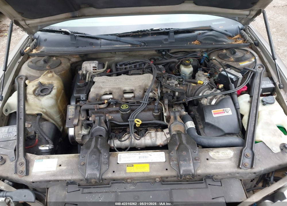1999 CHEVROLET LUMINA VIN: 2G1WL52M5X9138821
