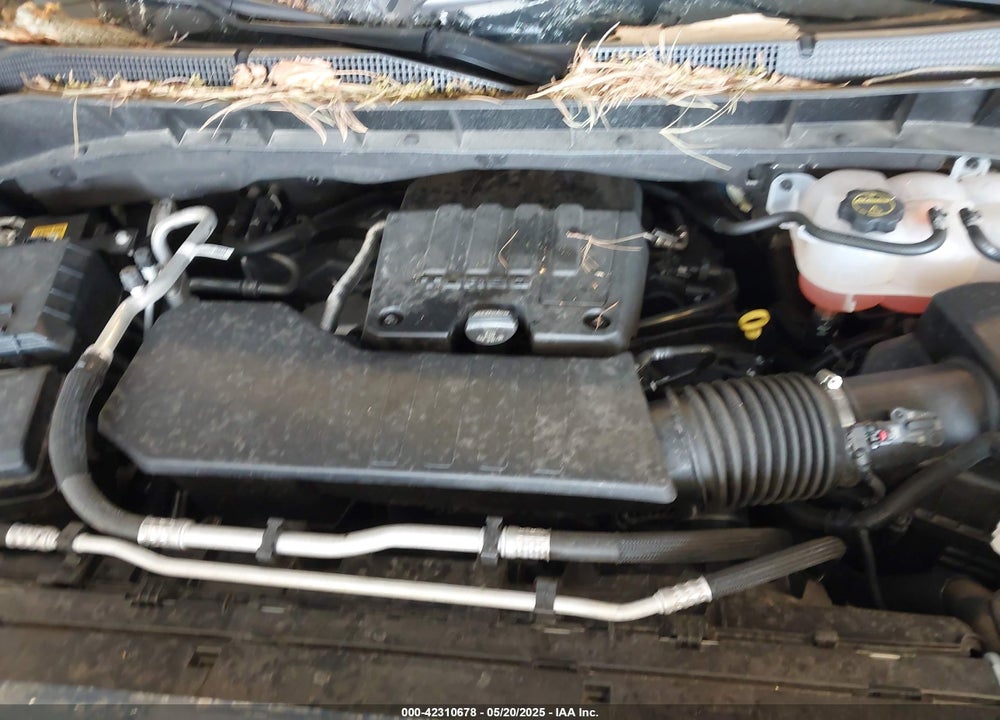 2024 CHEVROLET SILVERADO 1500 VIN: 1GCPDKEK0RZ294212
