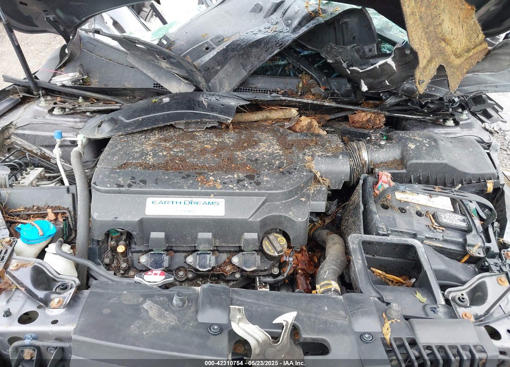 2014 HONDA ACCORD VIN: 1HGCR3F98EA011230