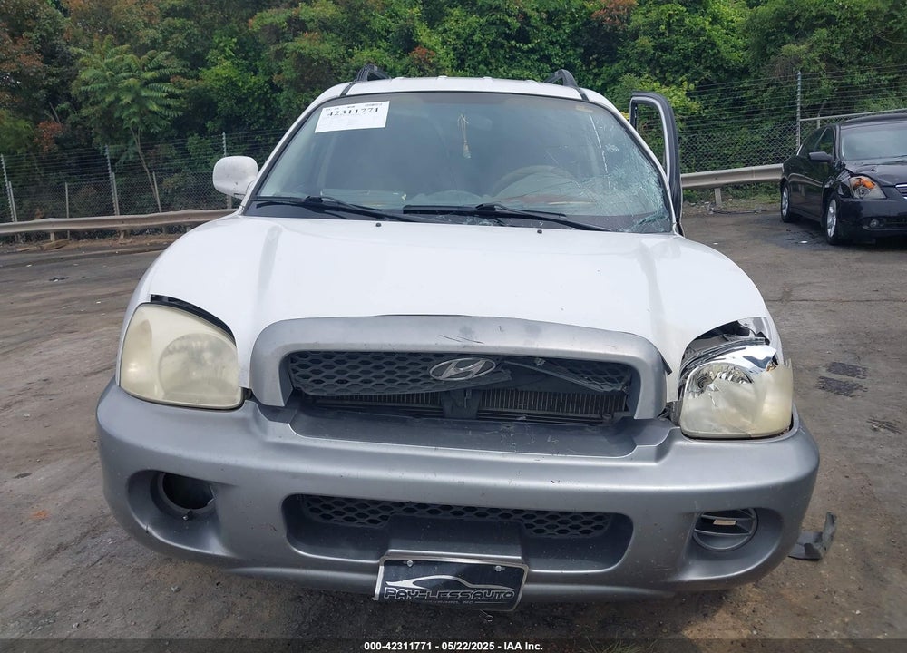 2002 HYUNDAI SANTA FE VIN: KM8SB12B22U306647