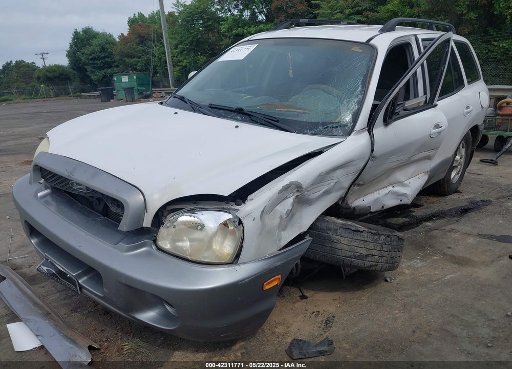2002 HYUNDAI SANTA FE VIN: KM8SB12B22U306647