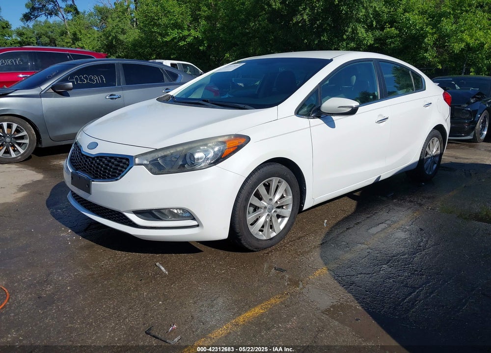 2014 KIA FORTE EX VIN: KNAFX4A89E5050968