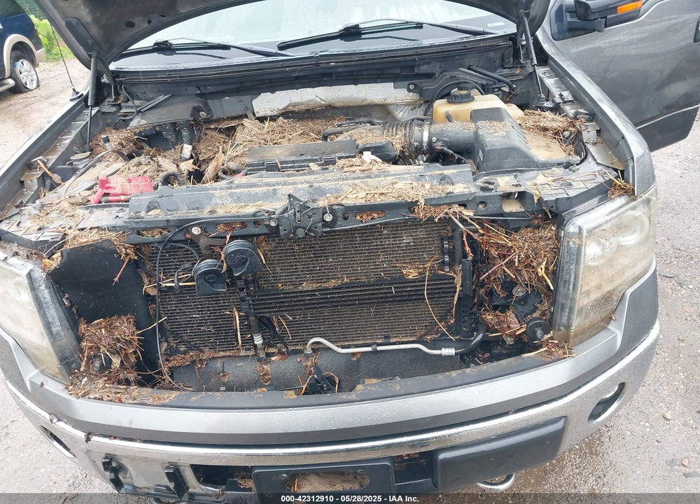 2012 FORD F150 VIN: 1FTFW1EF9CFB92323
