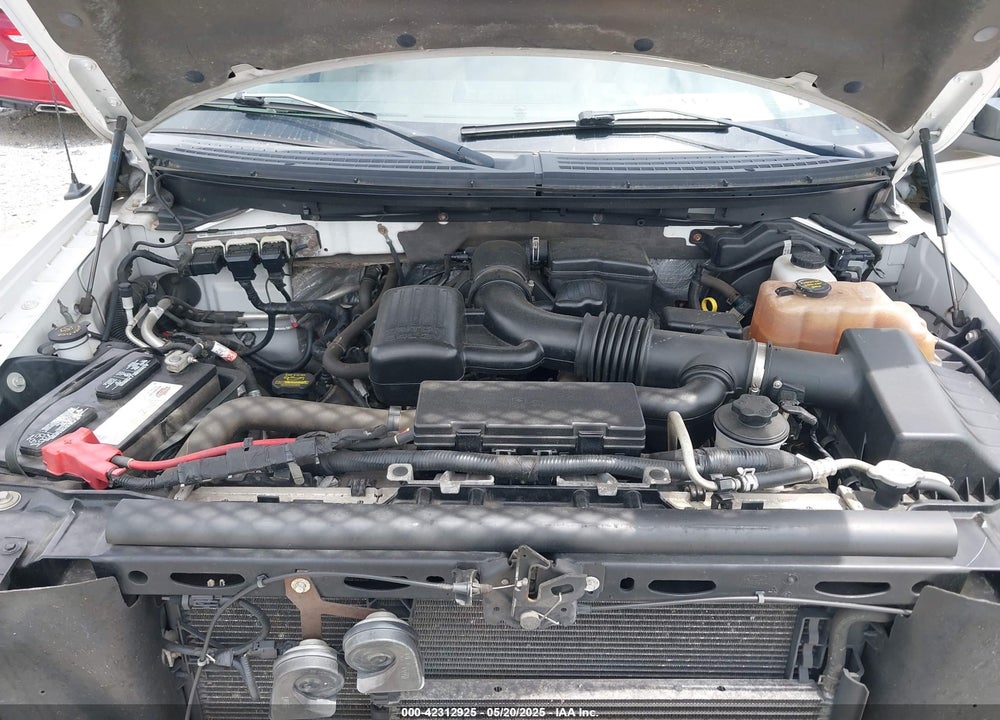 2010 FORD F-150 FX4/LARIAT/XL/XLT VIN: 1FTFX1EV4AFC94694